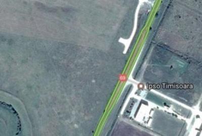 Teren de 55000 mp, în Cornești - 7