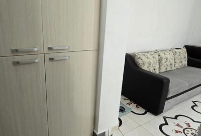 Apartament cu 2 camere semidecomandat în Dacia - 4