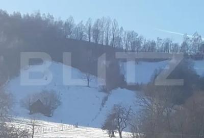 Teren de 9428 mp, în Bran - 1