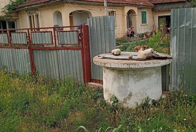 Casă cu Teren 2000 Mp în Mirceștii Noi