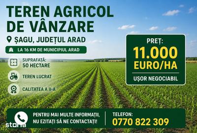 Teren de 10000 mp, în Șagu
