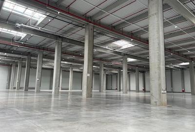 Spațiu industrial, de 1,000 mp, în Ștefăneștii de Jos - 4
