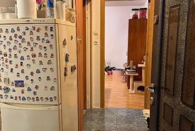 Apartament cu 2 camere semidecomandat în Govândari - 6