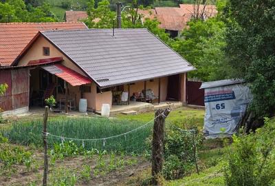 Casă cu 2 camere în Șalcău - 7