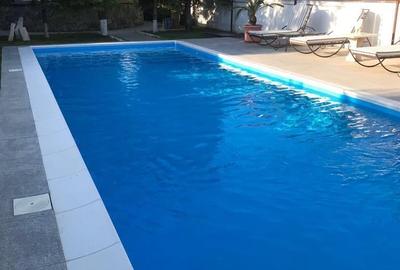 Casă cu 9 camere cu Piscina în Iancu Nicolae