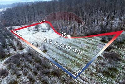 Teren Construcții intravilan de 5700 mp, în Sud-Vest - 10