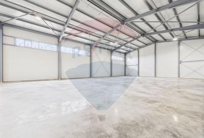 Spațiu industrial, de 600 mp, în Traian - 16