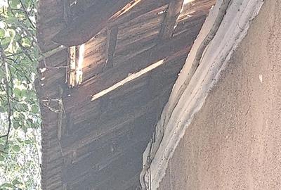 Casă cu 1 camere cu Teren 219 Mp în Central