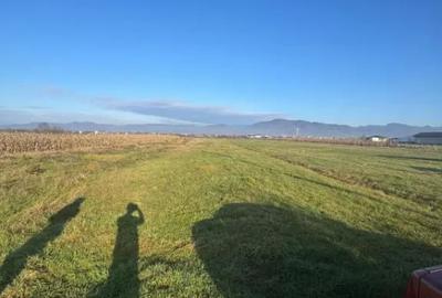 Teren de 1800 mp, în Mocira - 1