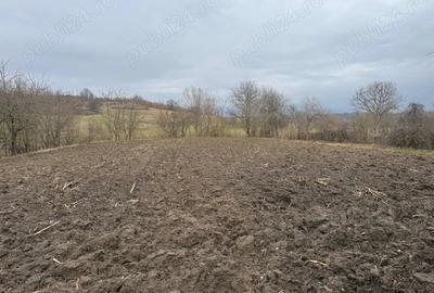 Casă cu 4 camere în Cireșu - 1