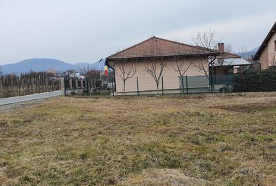 Teren intravilan de 878 mp, în Tăuții-Măgherăuș - 6
