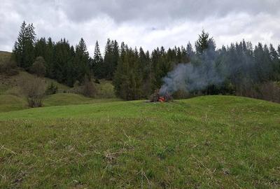 Teren de 600 mp, în Paltin