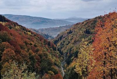 Teren de 25000 mp, în Bistra