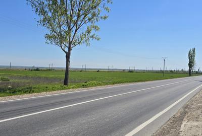 Teren extravilan de 2 mp, în Tișița - 6