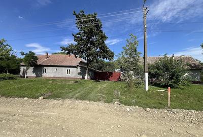 Casă cu 4 camere cu Teren 1094 Mp în Moravița - 9