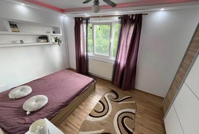 Apartament cu 2 camere semidecomandat, mobilat în Podu Roș