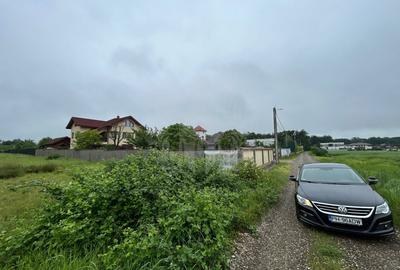 Teren Construcții intravilan de 9928 mp, în Păulești - 3