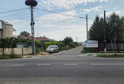 Teren de 4000 mp, în Letea Veche