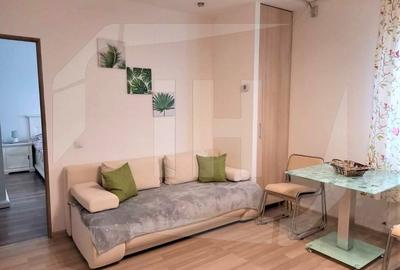 Apartament cu 2 camere semidecomandat, mobilat în Europa - 4