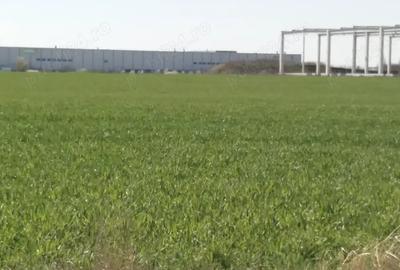 Teren de 25000 mp, în Giarmata - 2