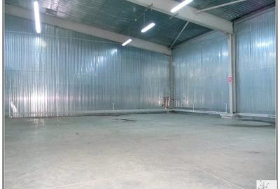 Spațiu industrial, de 250 mp, în Uzina 2 - 4