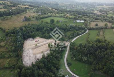 Teren extravilan de 12050 mp, în Mijlocenii Bârgăului