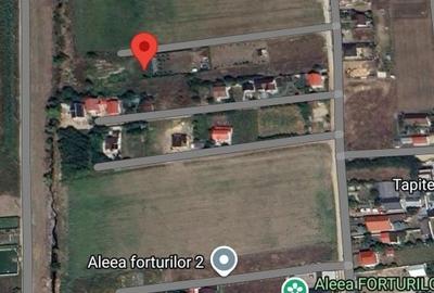 Spațiu comercial, în Sârbi - 1