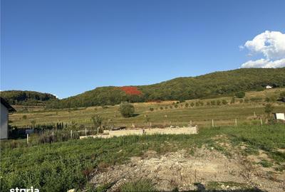 Teren de 1300 mp, în Central