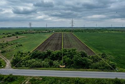 Teren Construcții extravilan de 5002 mp, în Glina - 4