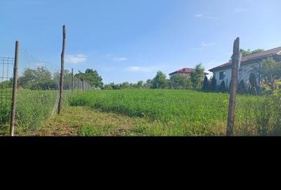 Teren de 1022 mp, în Sudiți (Poșta Câlnău) - 5