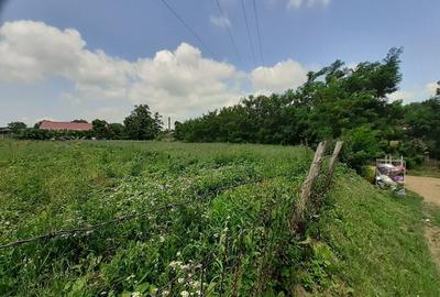 Teren de 1948 mp, în Brăești