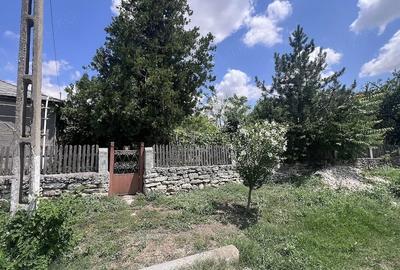 Casă cu 4 camere cu Teren 2921 Mp în Olteni