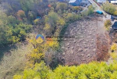 Teren Construcții intravilan de 11766 mp, în Costișa - 9