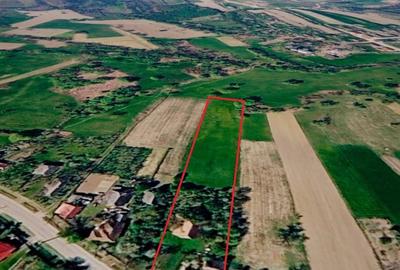 Casă cu 6 camere cu Teren 6000 Mp în Burdea