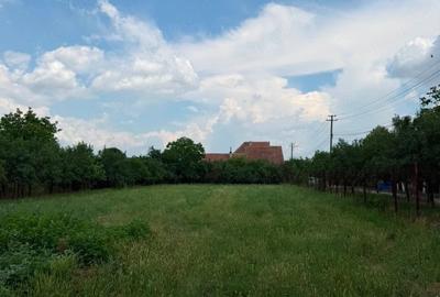 Teren de 2595 mp, în Pișchia - 3