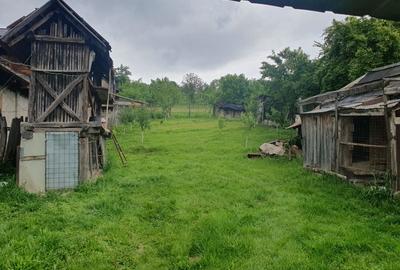 Casă cu 3 camere în Bala