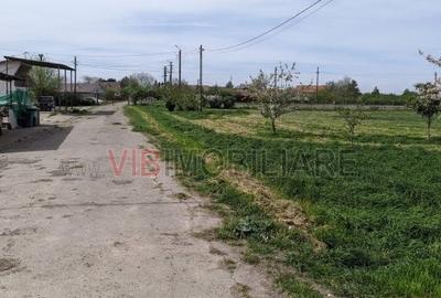 Teren de 95000 mp, în Cerneteaz