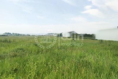 Teren Construcții intravilan de 1500 mp, în Jucu de Mijloc - 2