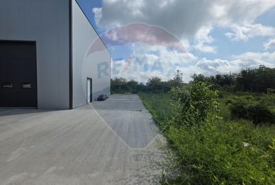 Spațiu industrial, de 596 mp, în Sud - 7