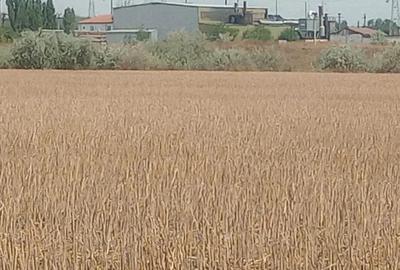 Teren de 8400 mp, în Zona Industrială - 2