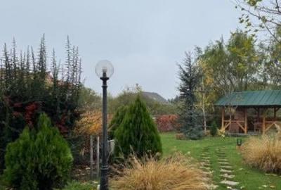 Apartament cu 3 camere în Băneasa - 1