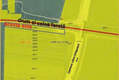 Teren de 5000 mp, în Centura