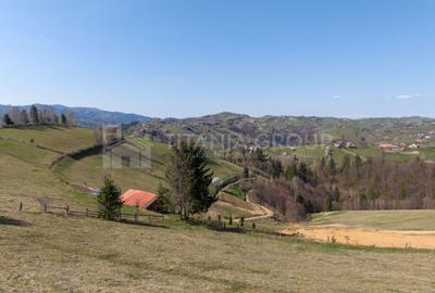 Teren Construcții intravilan de 3791 mp, în Poiana Mărului - 20