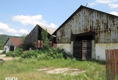 Teren de 12580 mp, în Dalboșeț
