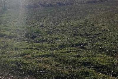 Teren de 4700 mp, în Șimnicu de Sus - 2