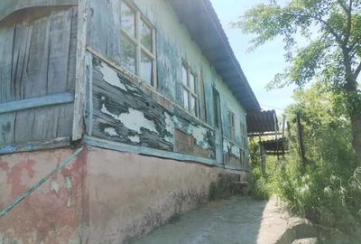 Teren de 1820 mp, în Rasova - 4