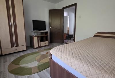 Apartament cu 2 camere semidecomandat, mobilat în Muncii - 15