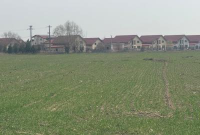 Teren Construcții intravilan de 9200 mp, în Est - 1