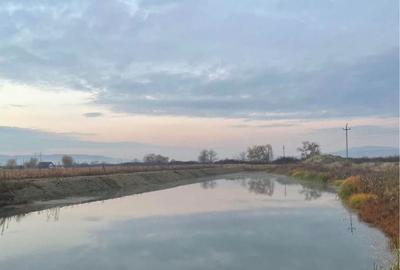 Teren de 8700 mp, în Coșlariu