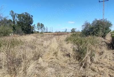 Teren de 2441 mp, în Jugureni - 3